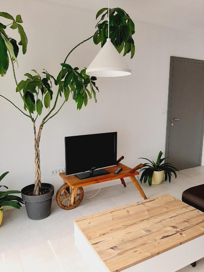 Green Bee Apartment Lesce  Exteriér fotografie